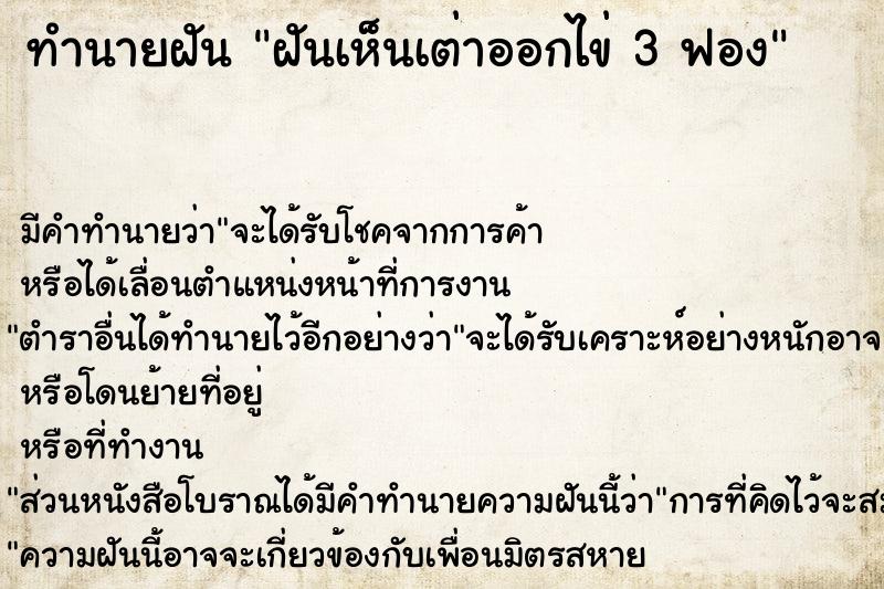 ทำนายฝัน ฝันเห็นเต่าออกไข่ 3 ฟอง